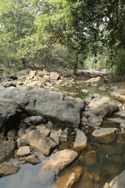 Kırsal bölgedeki Rock Hill