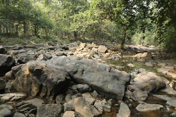 Pandav Falls Madhya Pradesh India — Stok Foto