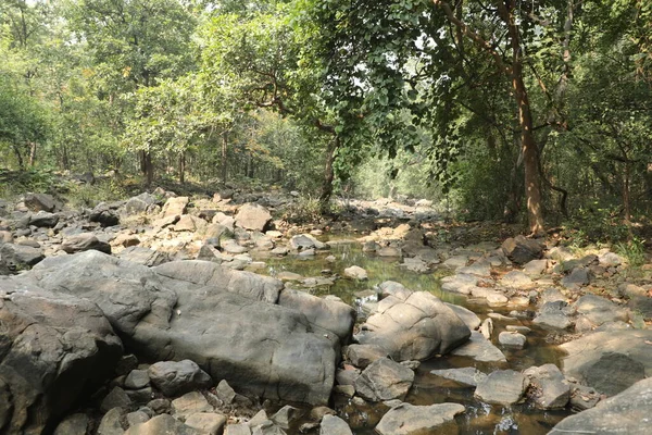 Pandav Falls Madhya Pradesh India — Stok Foto