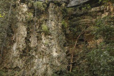 Kırsal bölgedeki Rock Hill