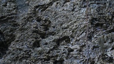 Kırsal bölgedeki Rock Hill