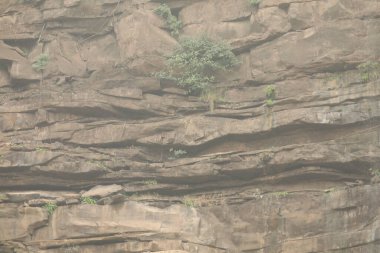 Kırsal bölgedeki Rock Hill