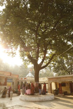 Bhimkund Panna Madhya Pradesh Hindistan