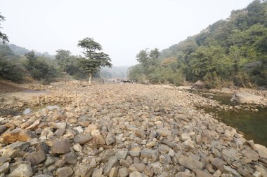 Water Pond in a Forest