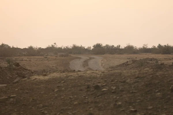 Rural area Tar Road and trees