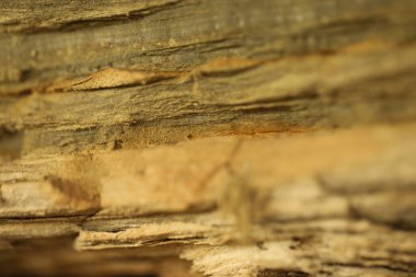 Çiğ taş dokusu yakın plan