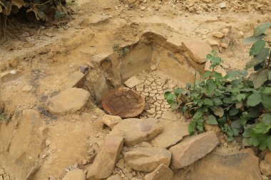 Elmaslar için ormanı kazıyorum.