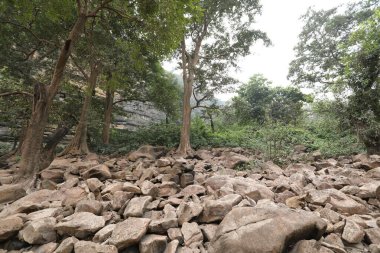 Raw stones at Rural area