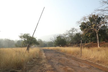 Kırsal alan Katran Yolu ve ağaçlar