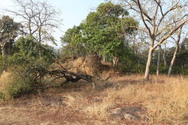 Eski taş duvar dokusu