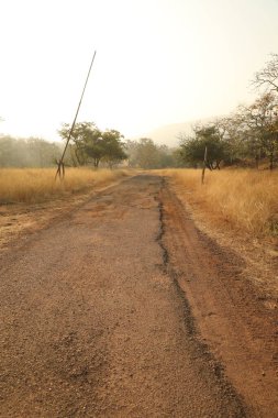 Kırsal alan Katran Yolu ve ağaçlar