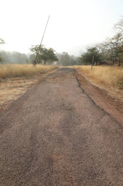 Kırsal alan Katran Yolu ve ağaçlar