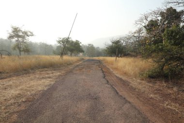 Kırsal alan Katran Yolu ve ağaçlar