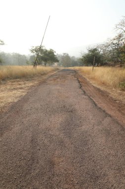 Kırsal alan Katran Yolu ve ağaçlar