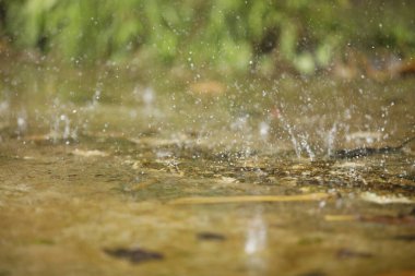 Suya Yağmur Damlaları