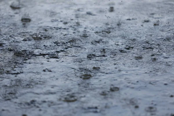 Rain Drops Water — стоковое фото