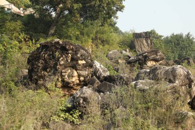 Kırsal bölgedeki Rock Hill