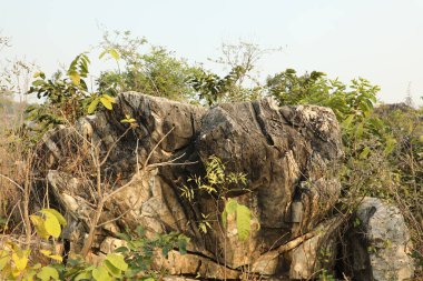 Kırsal bölgedeki Rock Hill