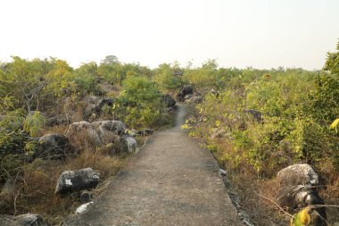 Kırsal bölgedeki Rock Hill