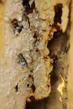 Eski Metal Doku Makro Çekimi