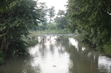 Kırsal bölgedeki Su Havuzu