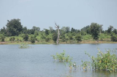 Kırsal bölgedeki Su Havuzu