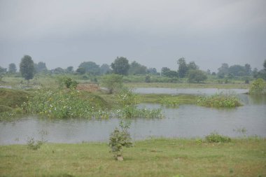 Kırsal bölgedeki Su Havuzu