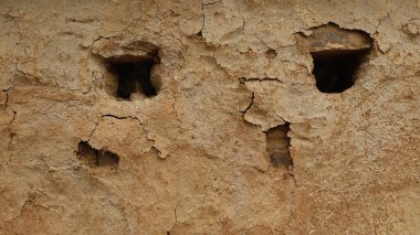 Mud wall Texture at Rural area