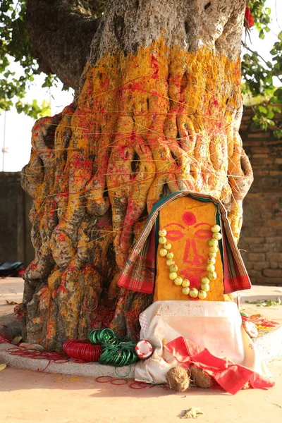 Hindu God Statue Tree — Stock Fotó