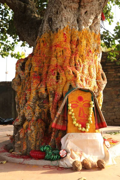 Hindu God Statue Tree — 스톡 사진