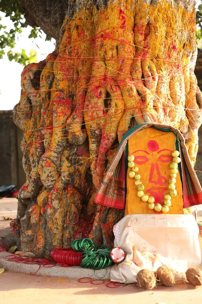 Индуистская Статуя Бога Дереве — стоковое фото