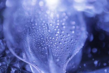 Bardağa su damlatıyor.