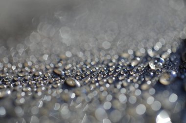 water drops on Floor