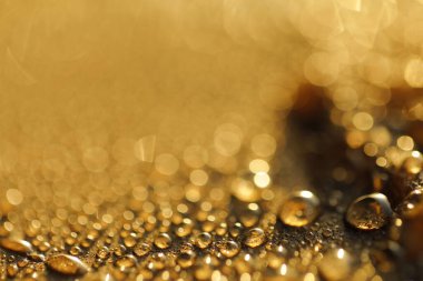 water drops on Floor