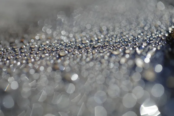 Water Drops Floor — Stock Fotó