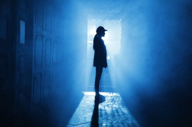 Silhouette of a Female model