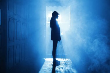 Silhouette of a Female model