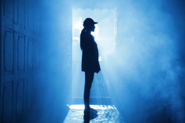 Silhouette of a Female model