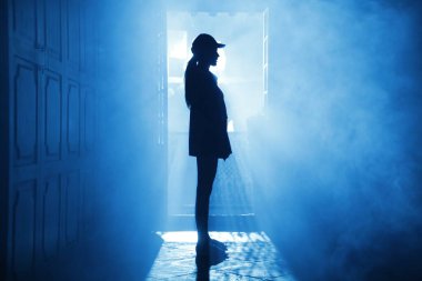 Silhouette of a Female model