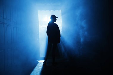 Silhouette of a Female model