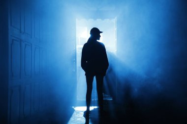 Silhouette of a Female model