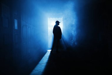 Silhouette of a Female model