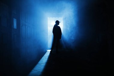 Silhouette of a Female model