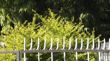 Hint Ayurveda İlaç Fabrikası