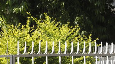 Hint Ayurveda İlaç Fabrikası