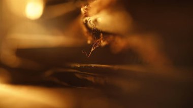 Yumuşak halı makro çekimi