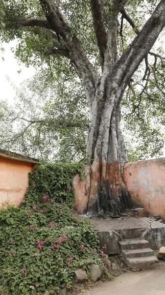 Övergivna Village House Indien — Stockfoto