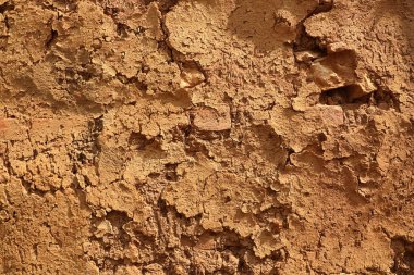 Mud wall Texture at Rural area