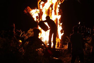 Tree Burn in the Forest