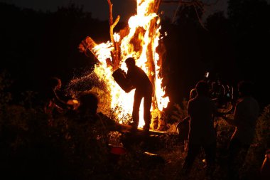 Tree Burn in the Forest